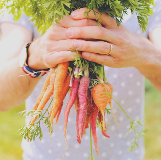 colourful-carrots