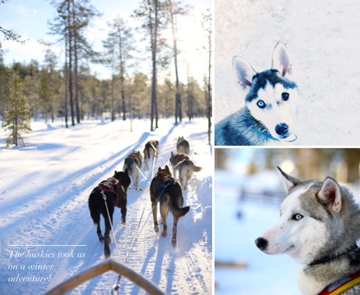 finland-lapland-holiday-11