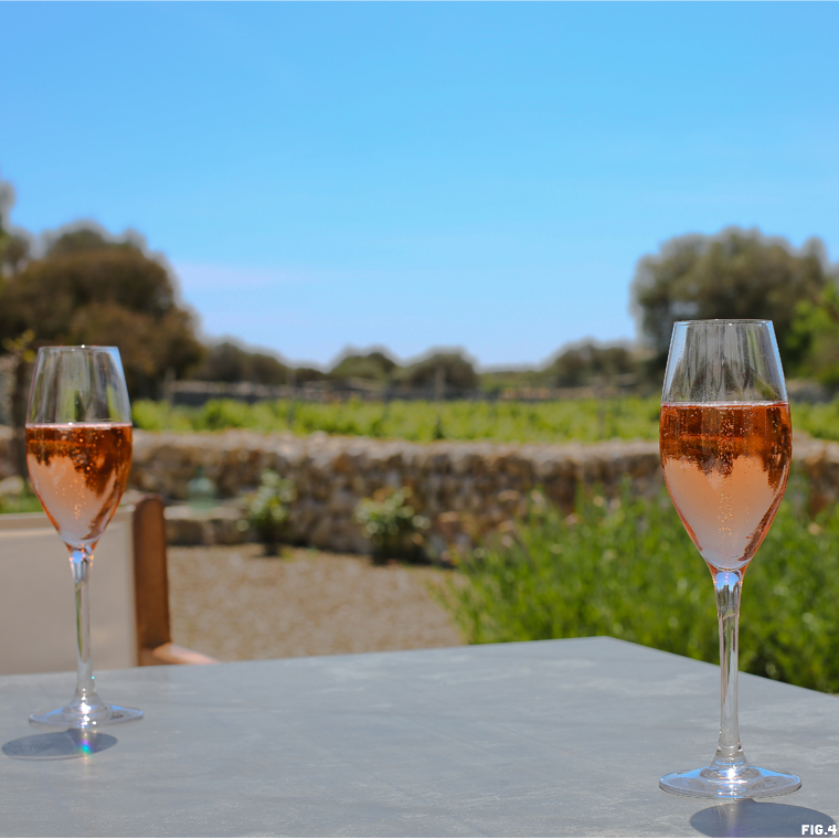 Wine-Menorca