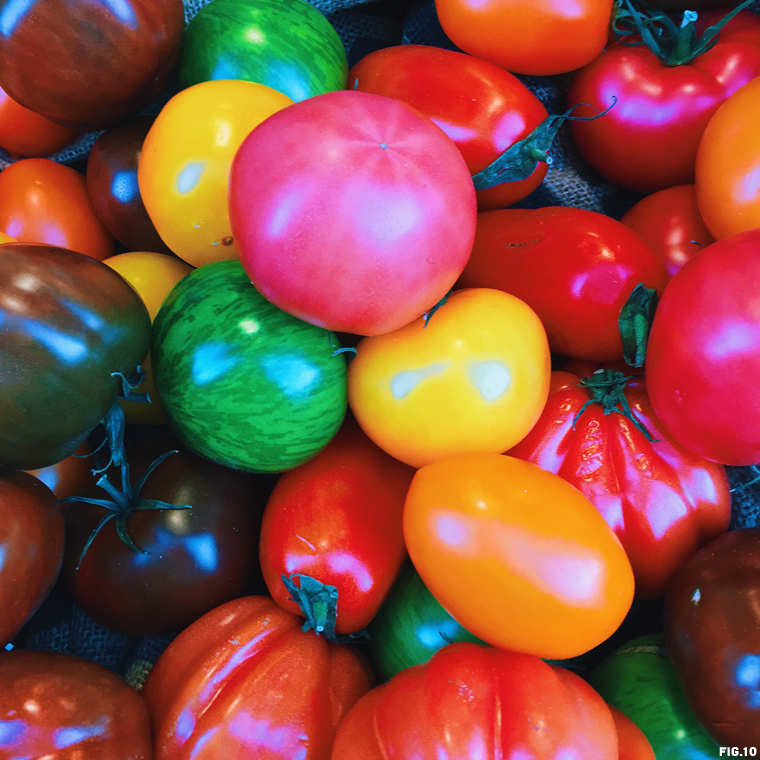 hierloom-tomatoes