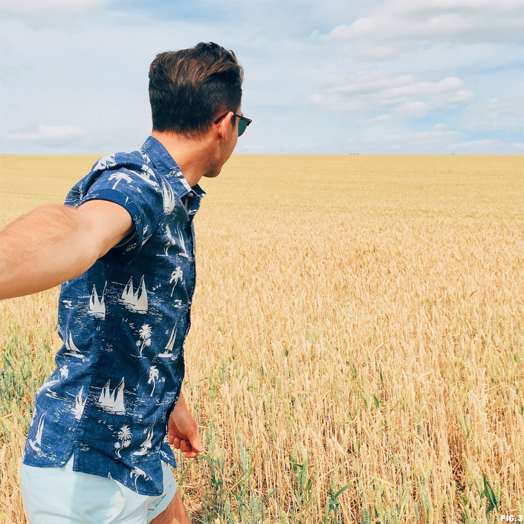 will-taylor-bright-bazaar-yellow-field