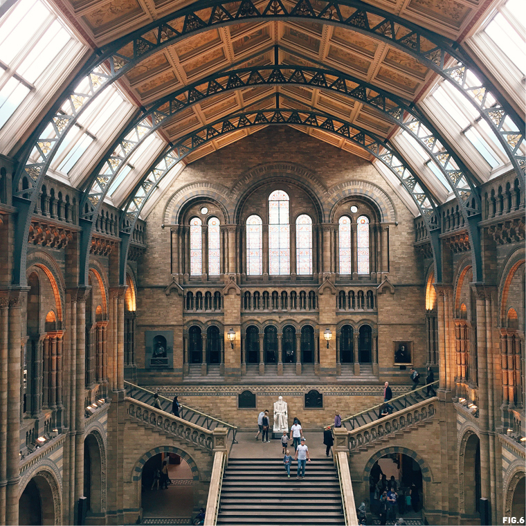 natural-history-museum-london-hogwarts-moving-staircase