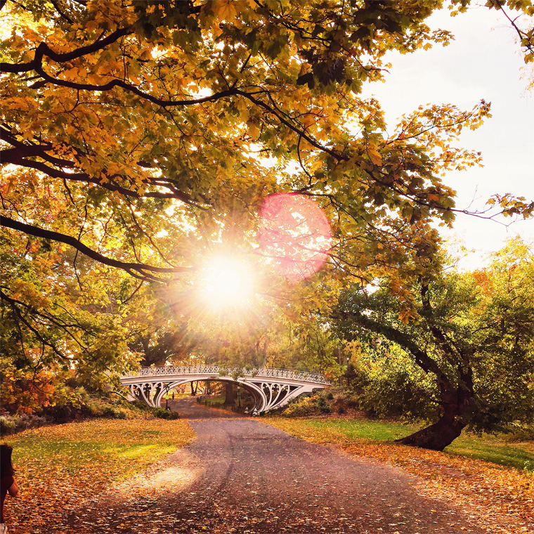 NYC-fall-color-central-park-10