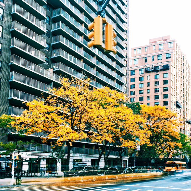 NYC-fall-color-central-park-4