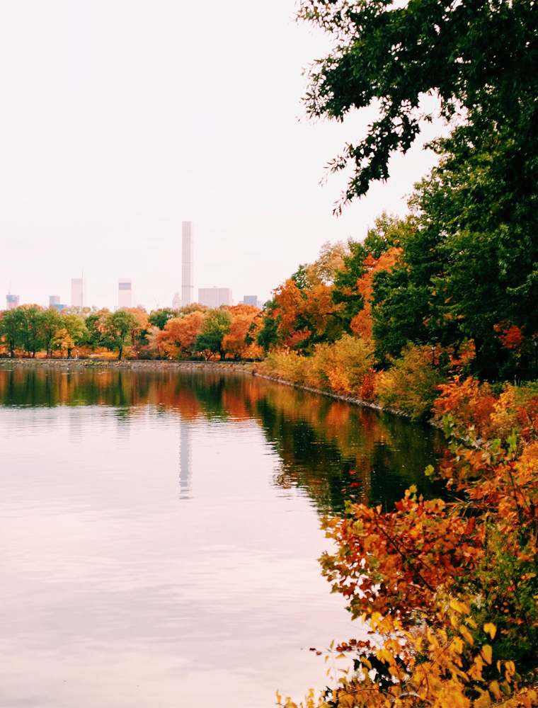 NYC-fall-color-central-park-8