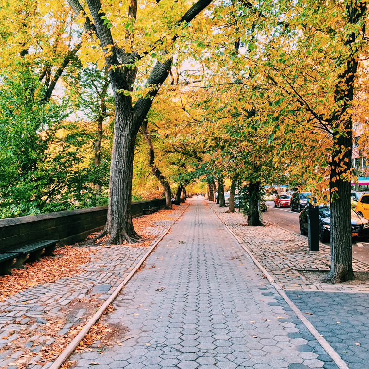 NYC-fall-color-central-park-9