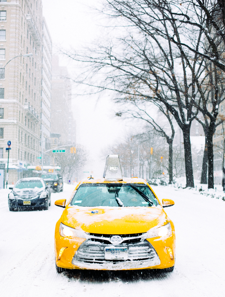 NYC-Central-Park-In-The-Snow-12