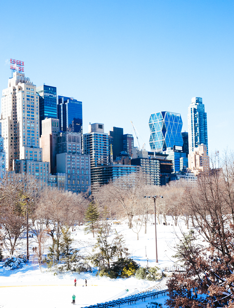 NYC-Central-Park-In-The-Snow-17