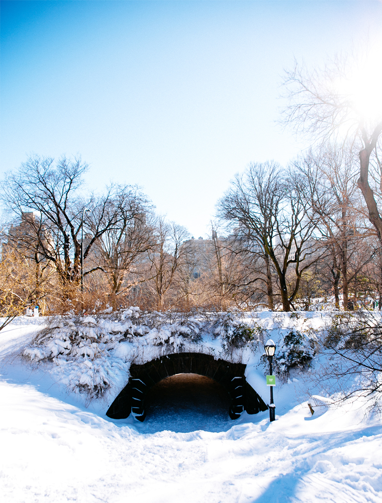 NYC-Central-Park-In-The-Snow-20