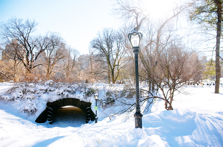 NYC-Central-Park-In-The-Snow-25