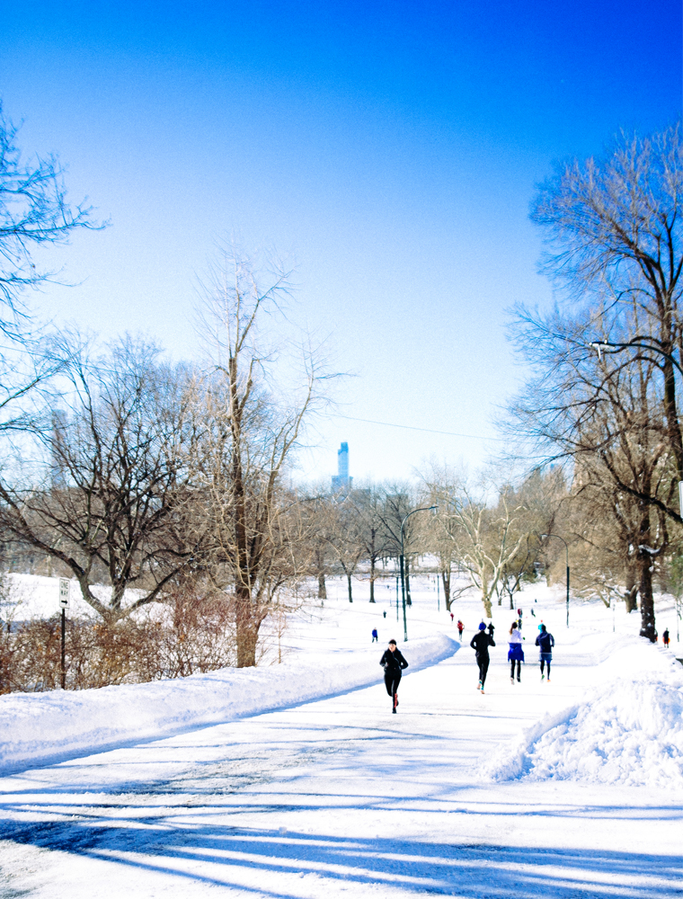 NYC-Central-Park-In-The-Snow-26