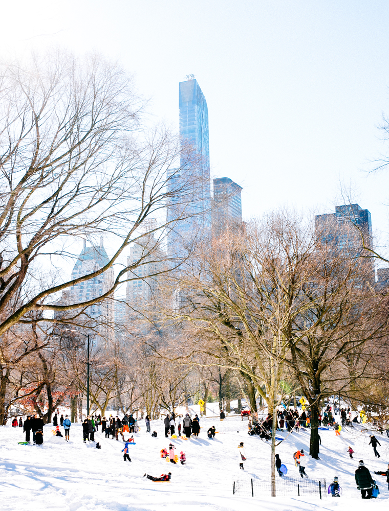 NYC-Central-Park-In-The-Snow-28