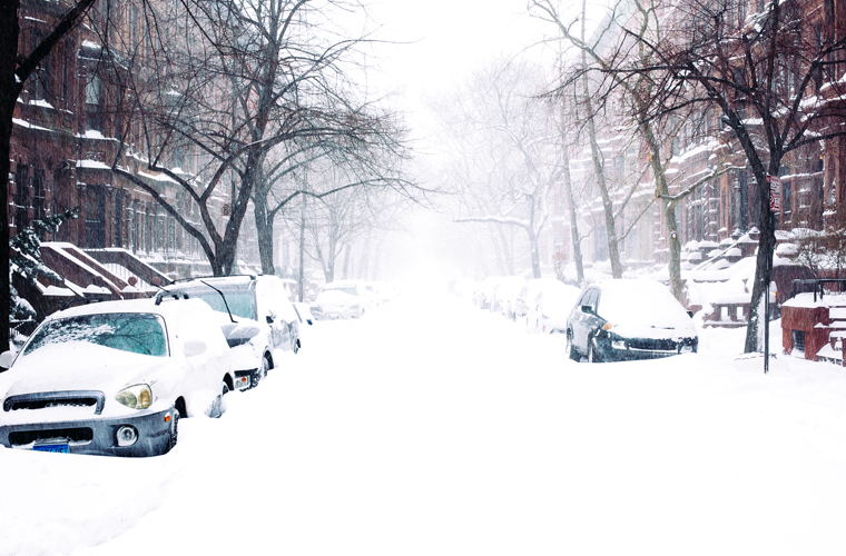 NYC-Central-Park-In-The-Snow-6