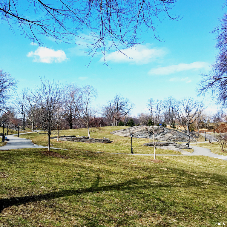 central-park-sunny-blue-sky-day