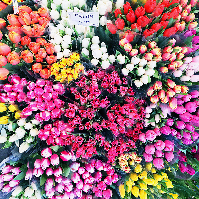 colorful-spring-tulips-on-sidewalk