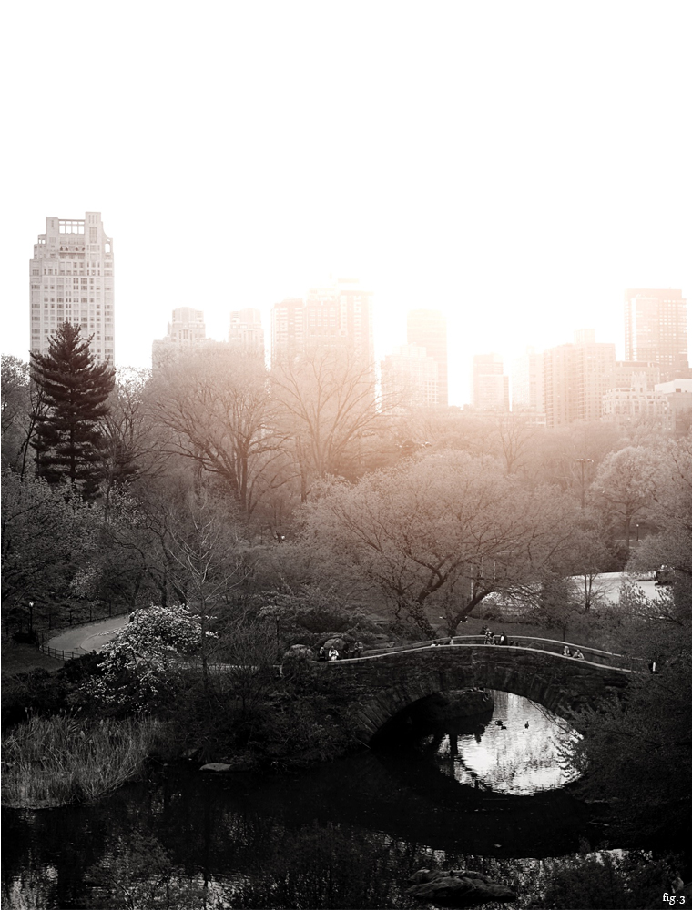 central-park-bridge-at-sunset-magic-hour