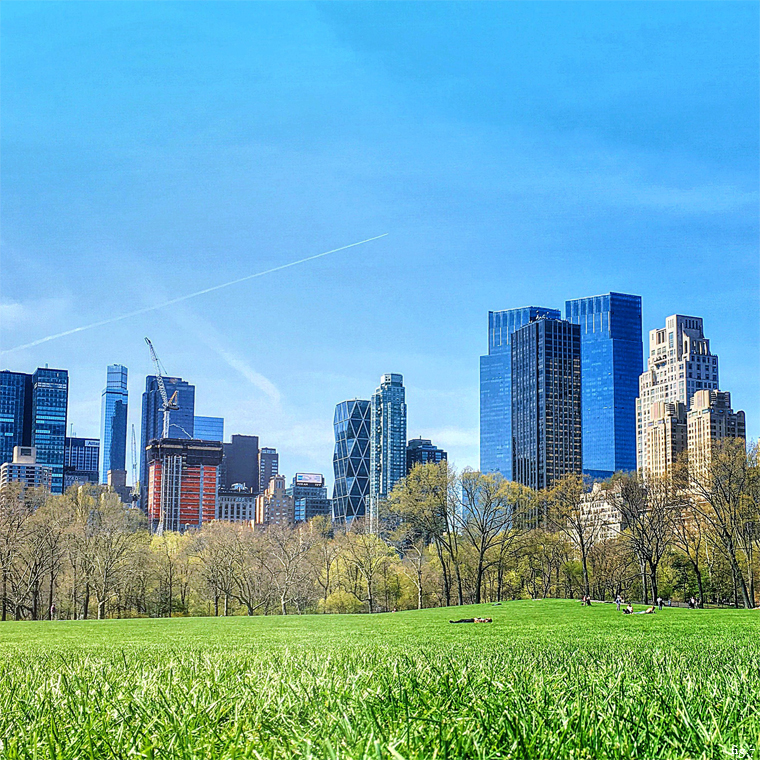 central-park-sheep-meadow-spring-city-skyline-view