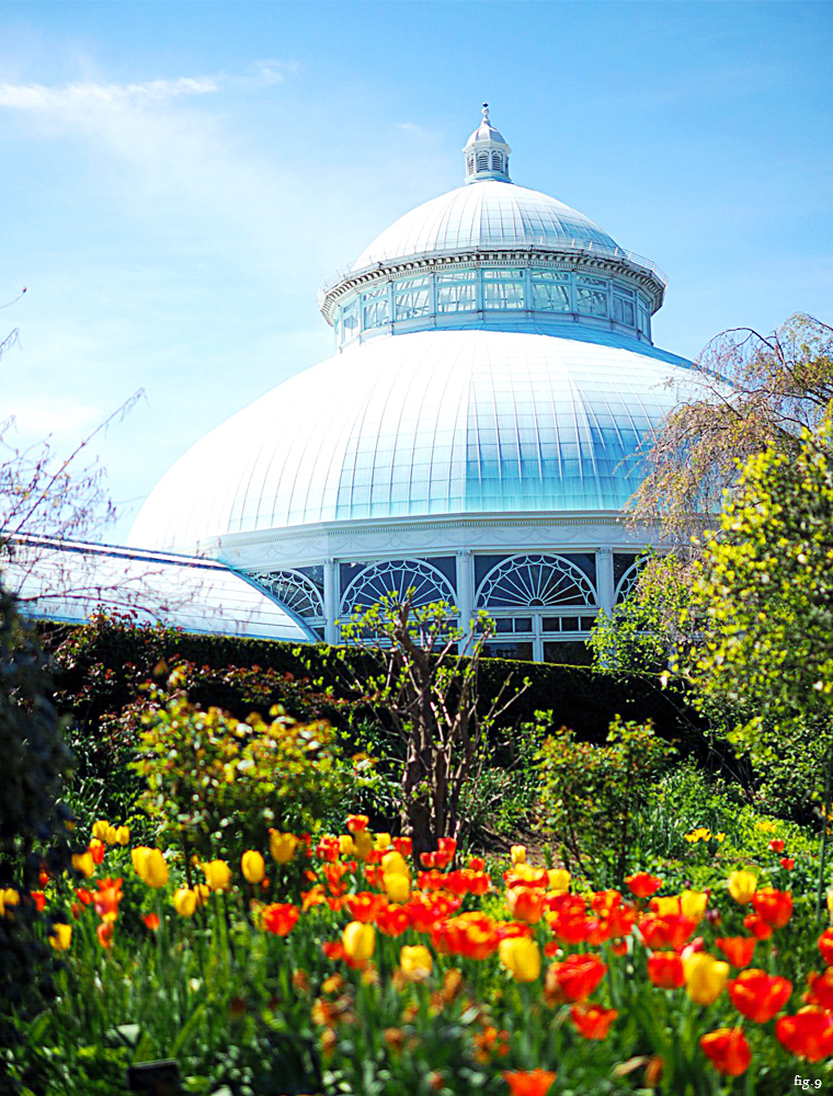 new-york-botanical-gardens-spring-tulips