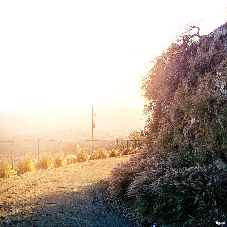 sunset-view-hollywood-sign-hike-los-angeles