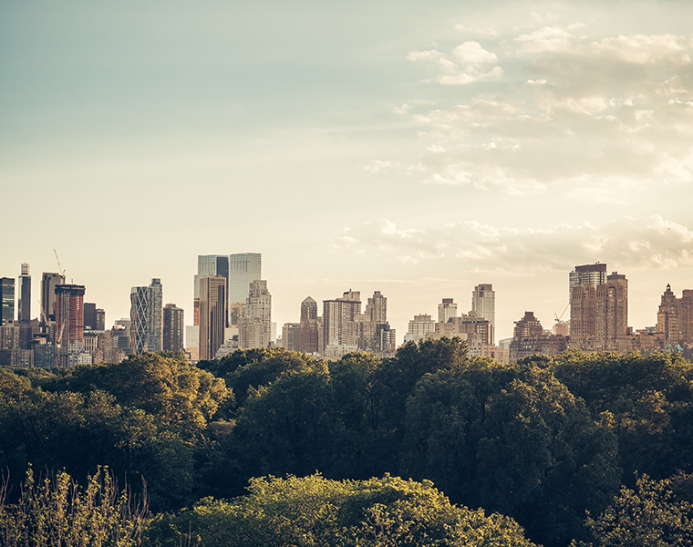 Summer Golden Hour In Central Park NYC Bright Bazaar By Will Taylor
