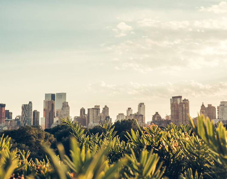 central-park-nyc-summer-golden-hour-photography-10