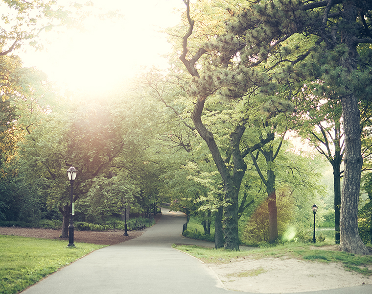 central-park-nyc-summer-golden-hour-photography-12