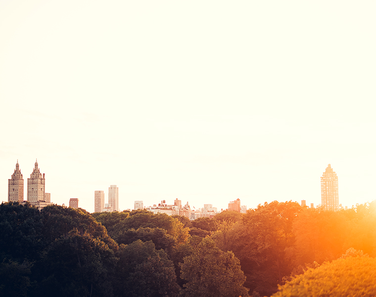 central-park-nyc-summer-golden-hour-photography-14