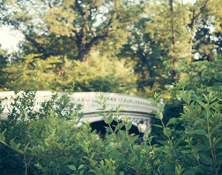 central-park-nyc-summer-golden-hour-photography-2