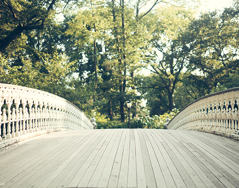 central-park-nyc-summer-golden-hour-photography-3