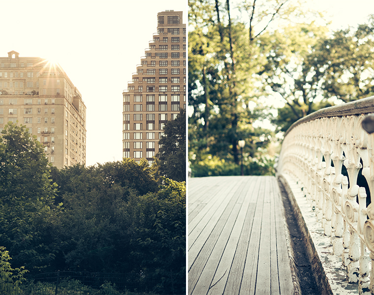 central-park-nyc-summer-golden-hour-photography-5