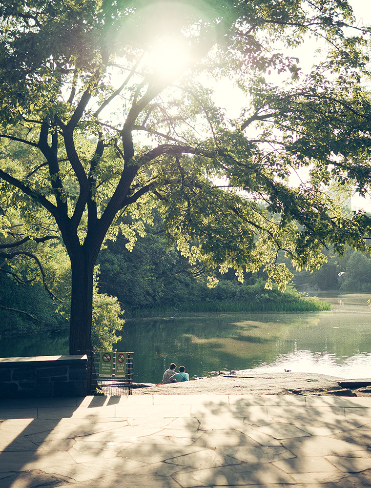 central-park-nyc-summer-golden-hour-photography-6