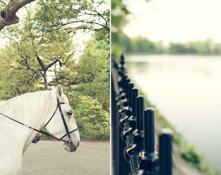 central-park-nyc-summer-golden-hour-photography-8