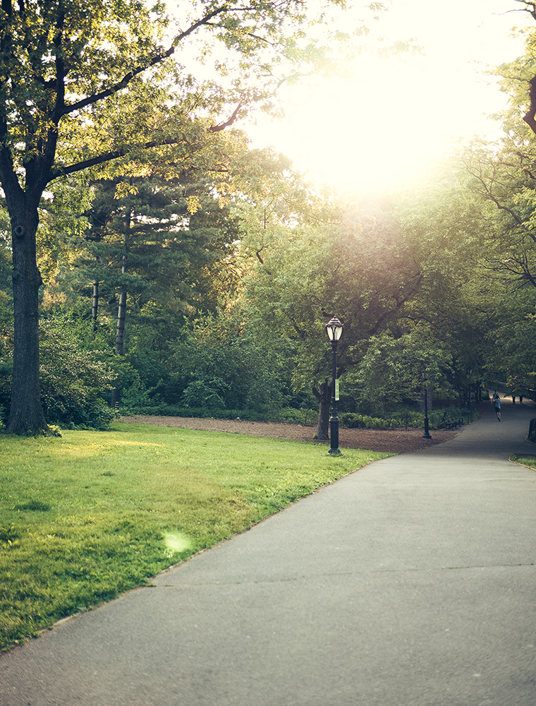 central-park-nyc-summer-golden-hour-photography-9