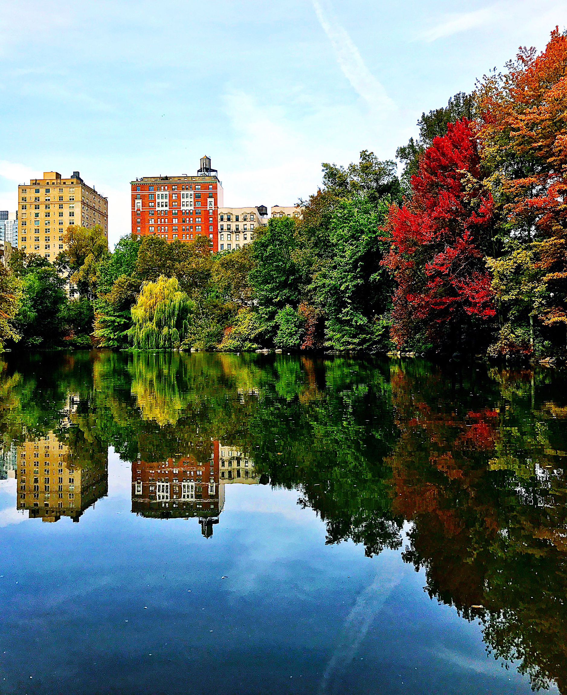 fall color new york