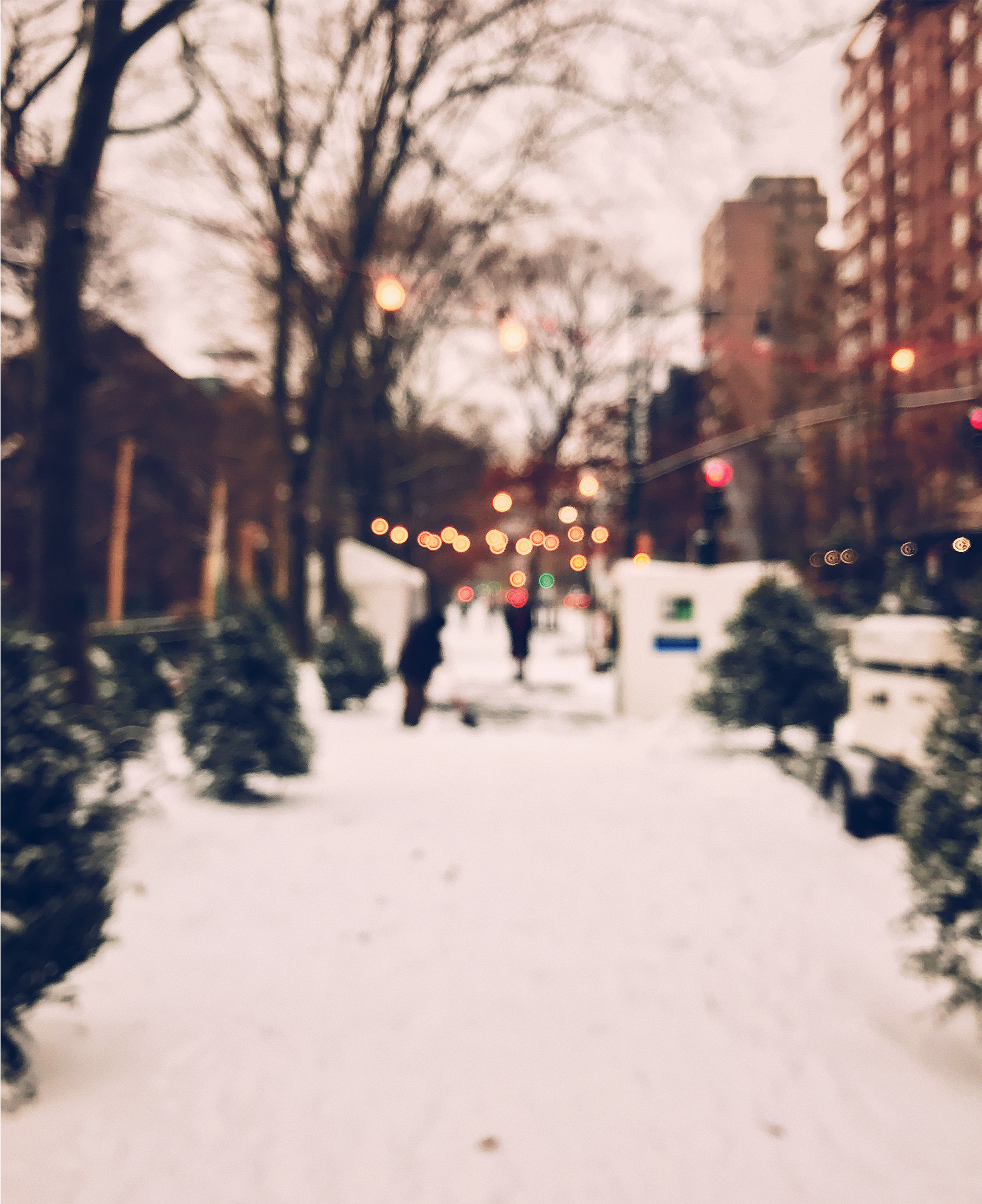 christmas in New York City