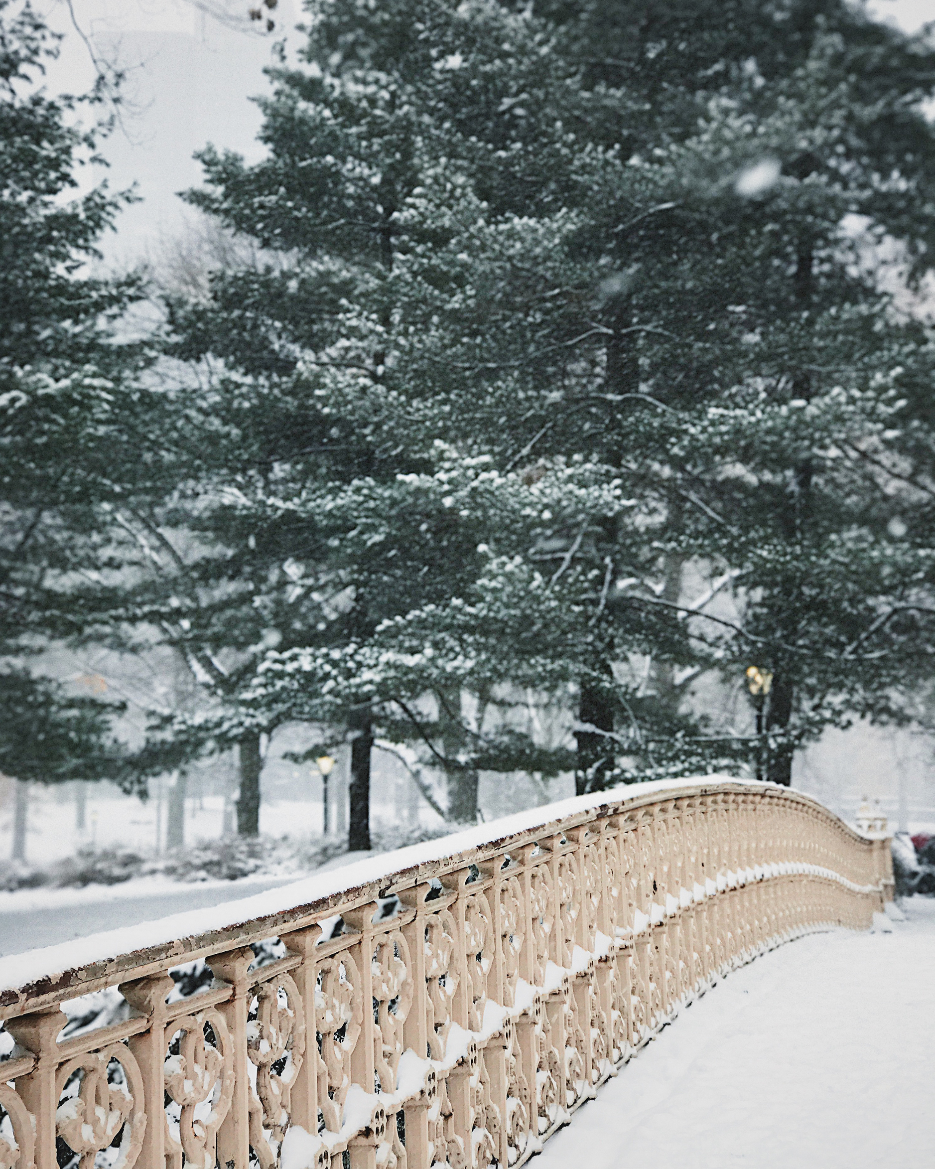 new-york-city-snow-day-6