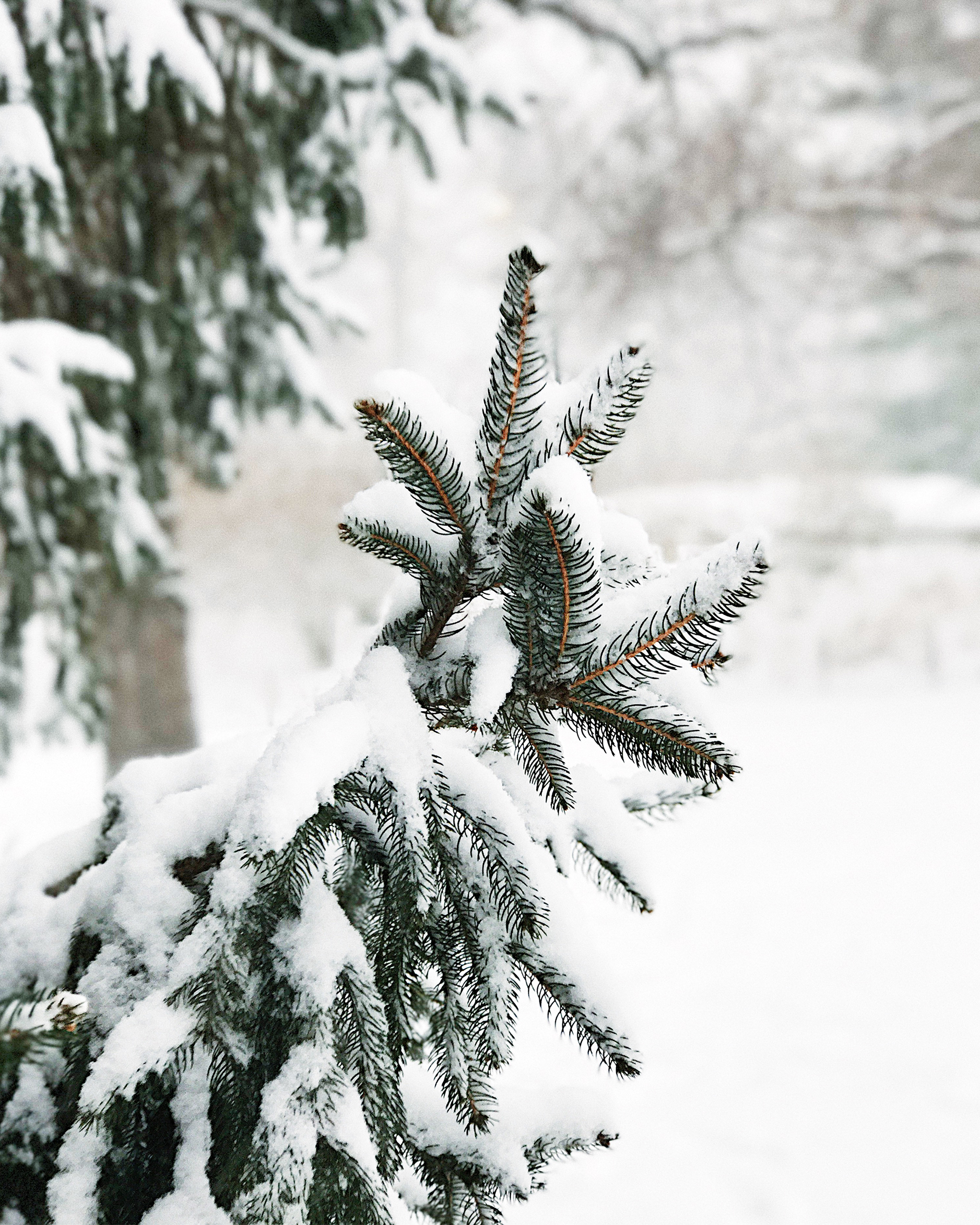 new-york-city-snow-day-7