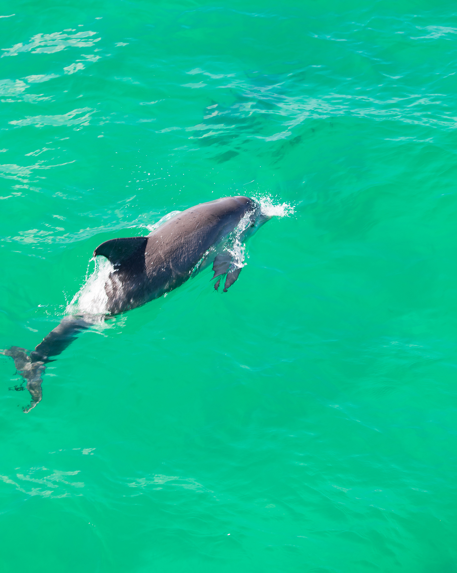 Florida's Emerald Coast