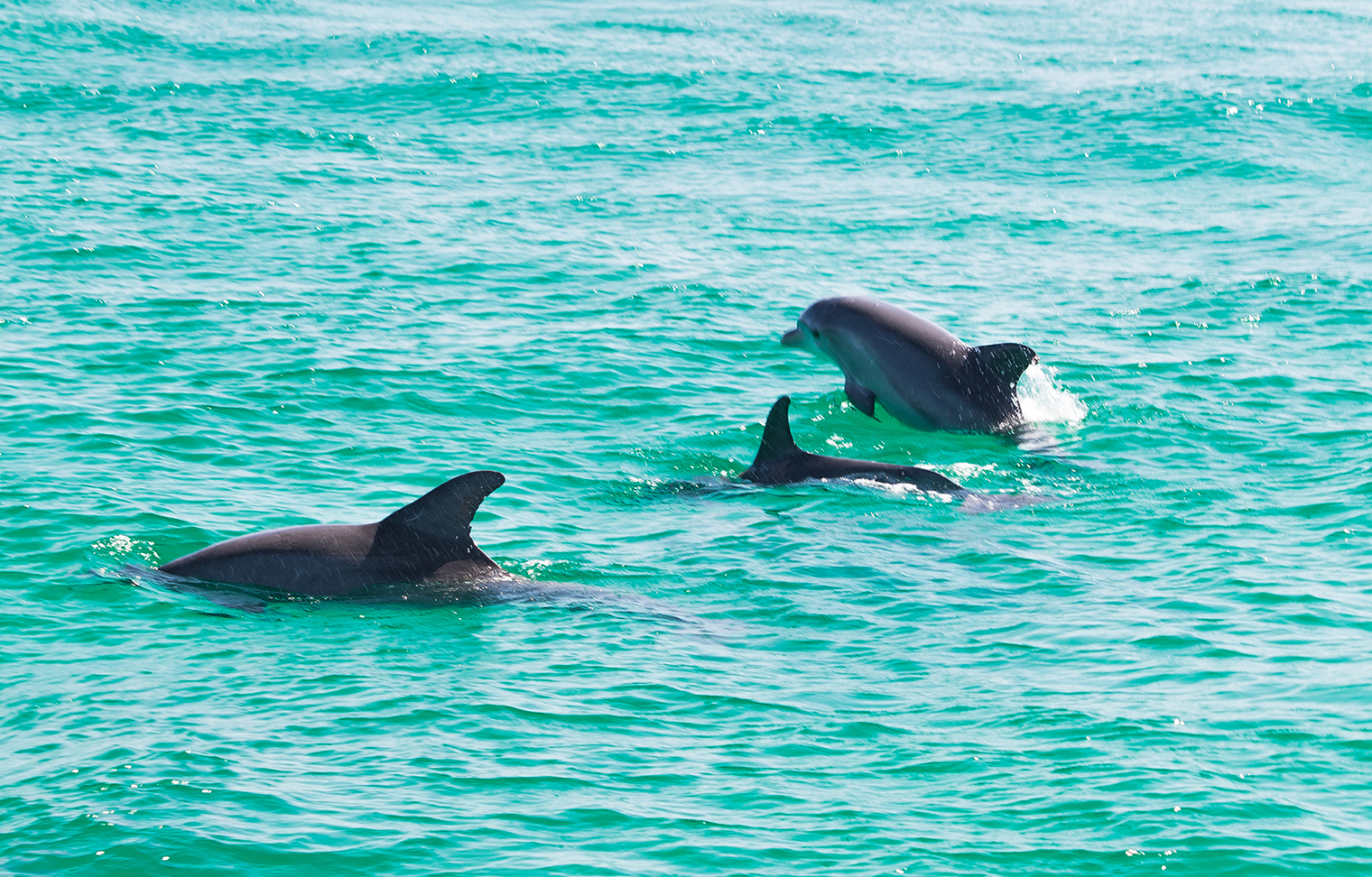 Florida's Emerald Coast