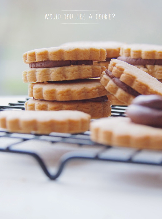 Bright Bakes Peanut Butter & Choc Cookies Bright Bazaar by Will Taylor