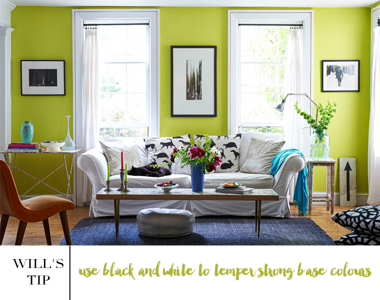 Decorate With Lime Green, What Colour Goes With Lime Green Sofa