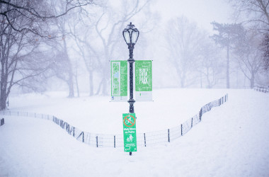 34 NYC & Central Park Snow Pictures of the 2016 Blizzard - Bright ...