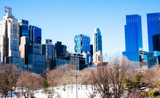 34 NYC & Central Park Snow Pictures of the 2016 Blizzard - Bright ...