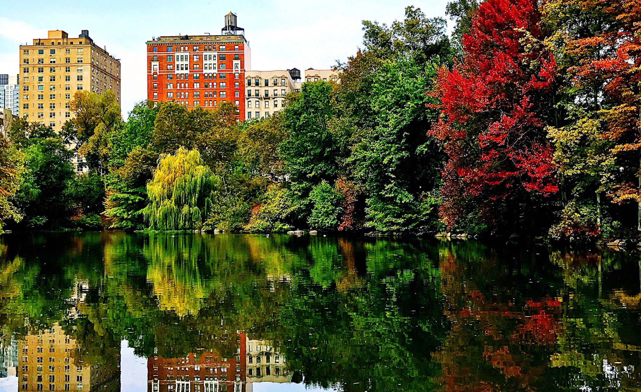 fall color new york