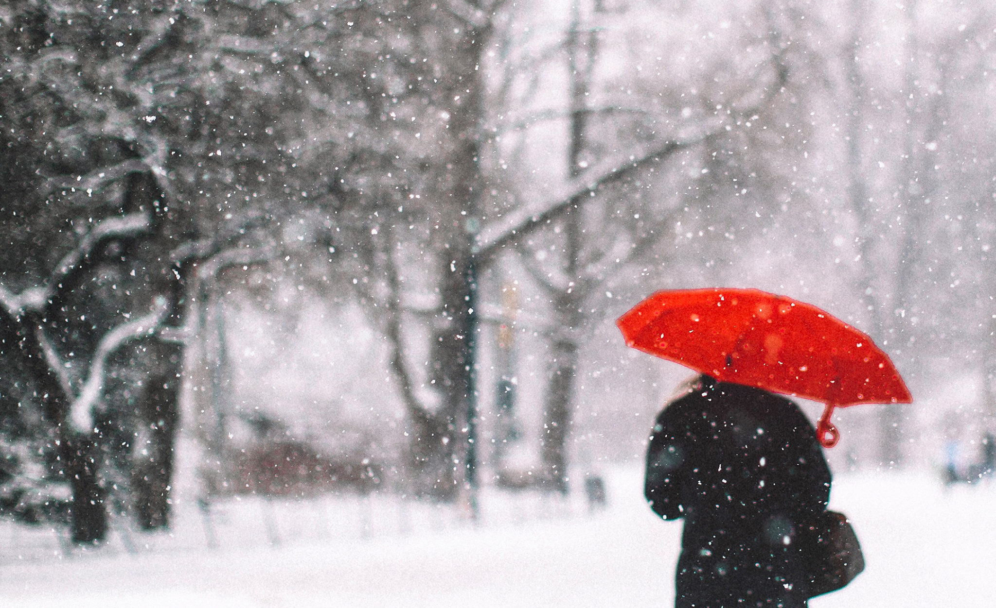 New York City Snow Day