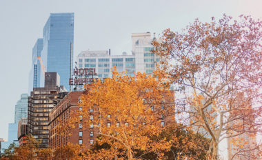 New York City autumn