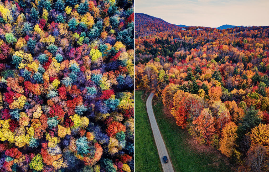 fall leaves in Vermont