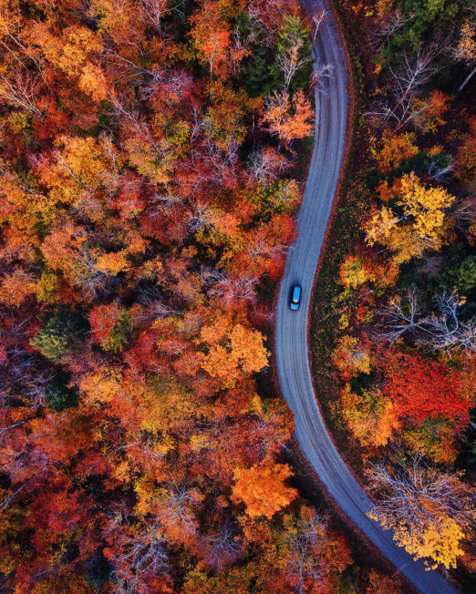 Fall Leaves In Vermont: A Travel Guide - Bright Bazaar by Will Taylor
