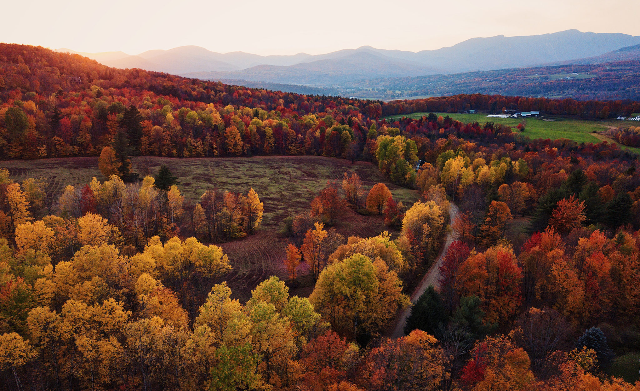 fall leaves in Vermont