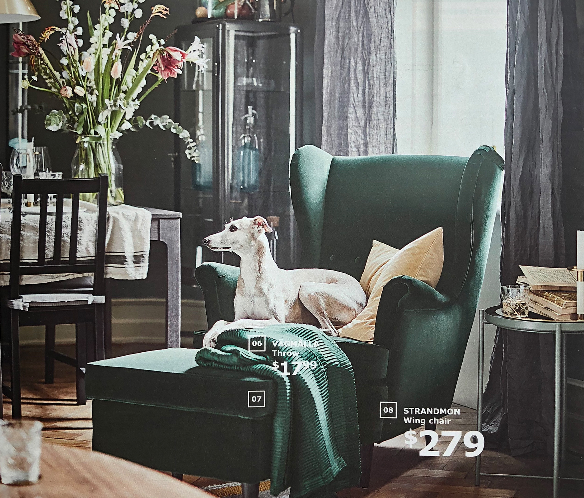 ikea catalog dog